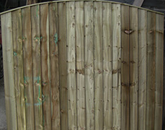 Feather Edge Bowtopg